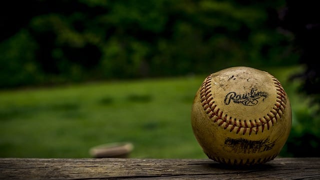 Bless the Farm Leagues by Daniel Gleason