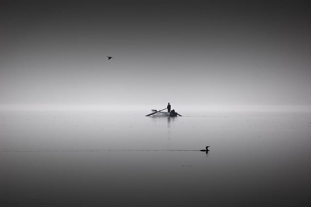 Devil’s Bird Comes Ahead of Bad Weather by Jamey Genna