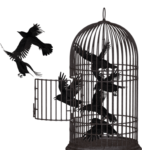 The Seventh Crow by Chip Jett