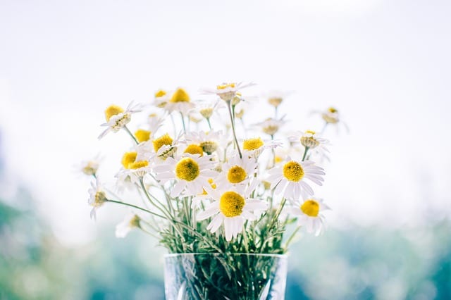 Anniversary Flowers by Robert Rickelman