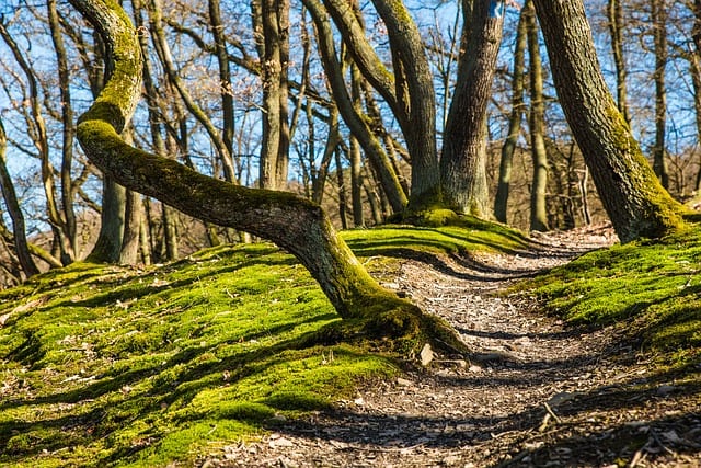 Battlefield National Park by Becky Marietta