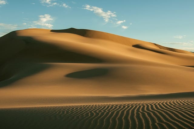 Treacherous Dune by Megha Sood