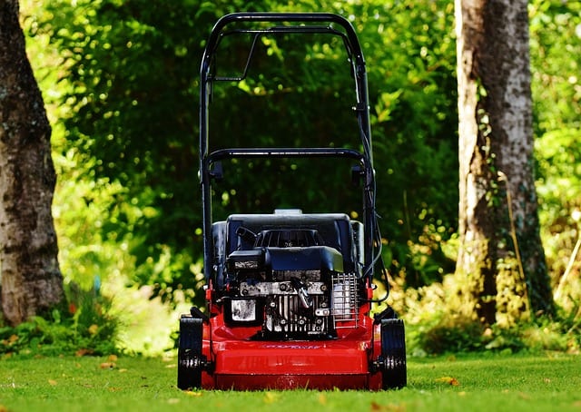 Dueling Lawnmowers by Duane Anderson