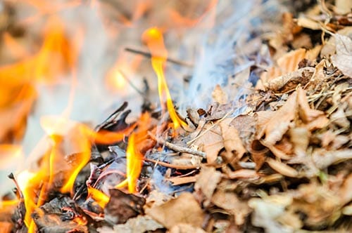 Burning by Joanna M. Weston