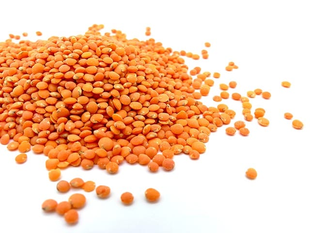 Lentil Soup by Bill Melton