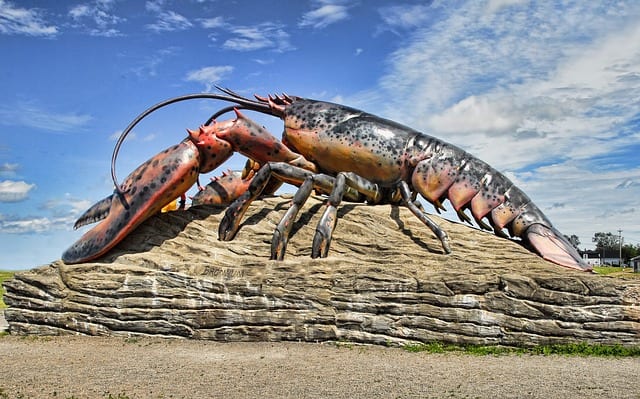 I’ll never forget the lobster by Nancy K. Hauptle MacInnis