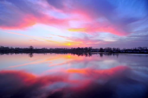 I’m Not Sure Why the Sky Turns Pink by Safiyyah Motaib