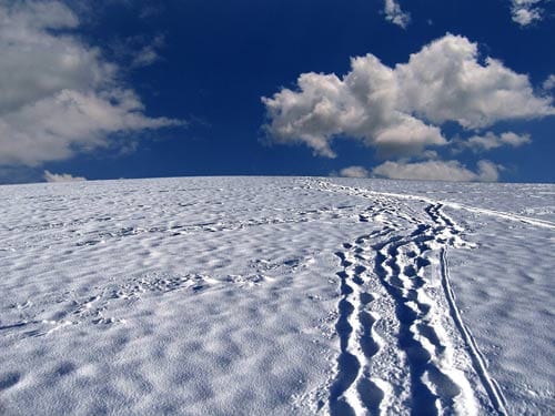 A Trampoline under Snow by Sandra Kolankiewicz
