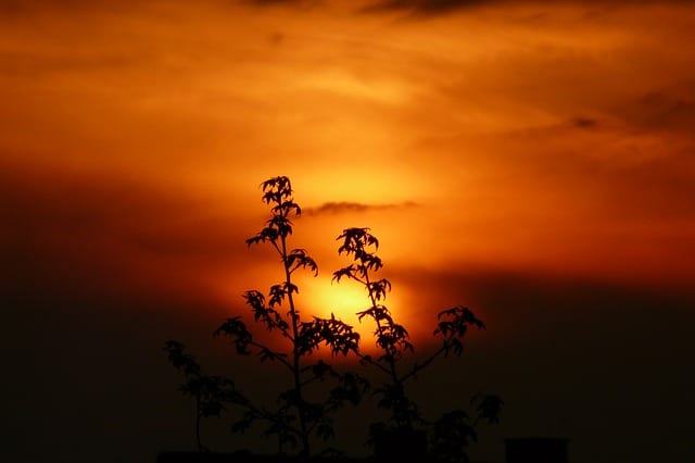 Mother Nature by Bill Melton