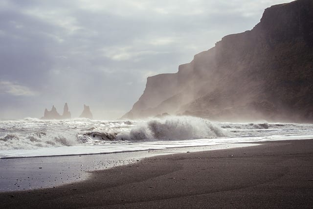 Desperately Semaphoring from The Shore by Claire Scott
