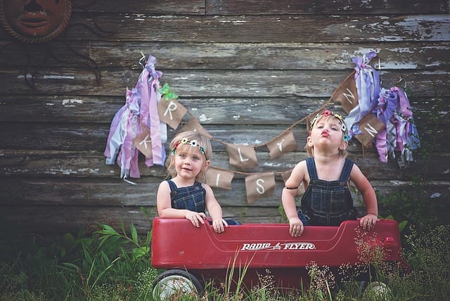 Wagon, Ho! by Suzanne Cottrell